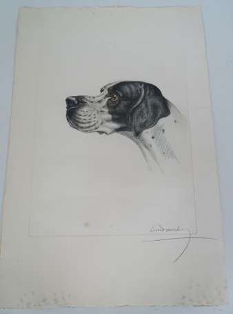 Danchin Léon (1887-1938) Portrait de chien 