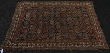 Tapis senneh en laine, le champ marine à frises de