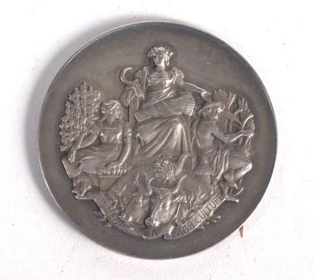 médaille de table , du comice agricole du Lude 