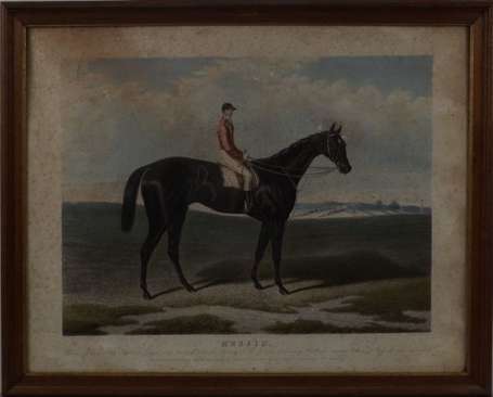 Charles Hunt and son Chevaux de course Cinq 