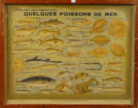 QUELQUES POISSONS DE MER /Comité National de 