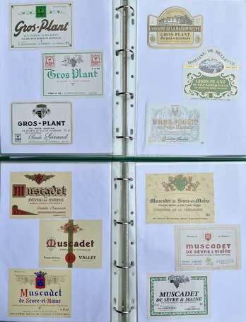 Muscadet et Gros Plant : Collection de + de 500 