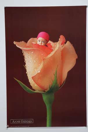 GEDDES Anne (1956 -) « Pink Rose Baby » : 1993, 