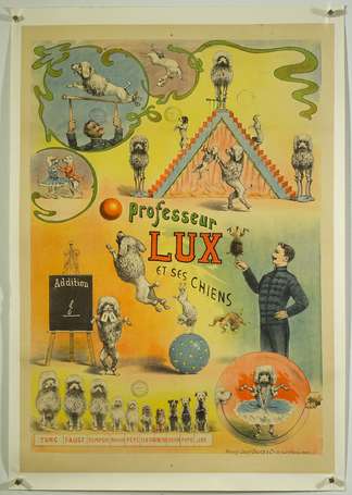 PROFESSEUR LUX ET SES CHIENS : Affiche 