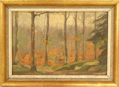 ECOLE XXe - Bois en automne. Huile sur carton. 