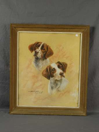 SAUNE Y (Xxe S) - Portrait de chien, pastel signée