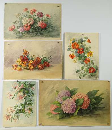 DENIS Léonie (XIX-XXème), Bouquets hortensias, 