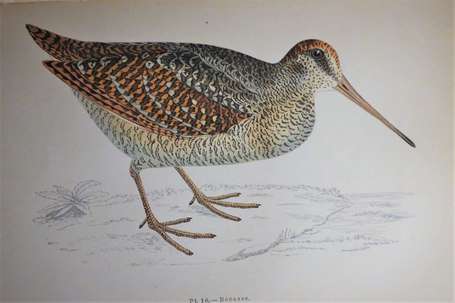 CHERVILLE (Marquis Gaspard de) - Le Gibier Plume -