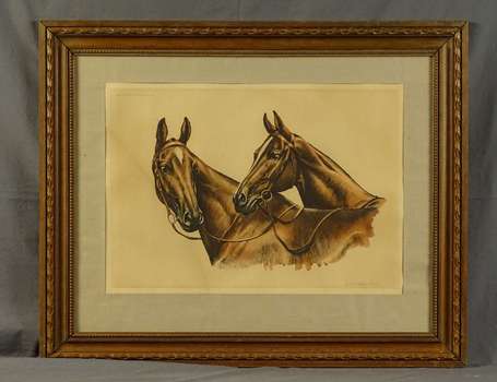 DANCHIN Léon (1887-1939) - Portrait de chevaux. 