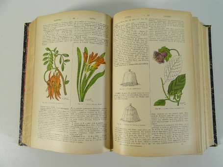 [HORTICULTURE (D.) - Dictionnaire d'horticulture -