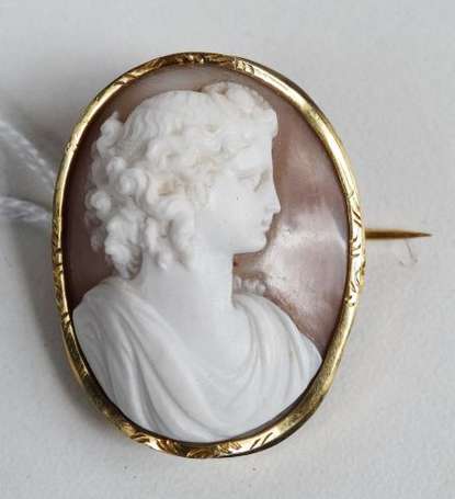 Broche avec camée, portrait de femme, la monture 