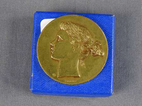 médaille de table - 