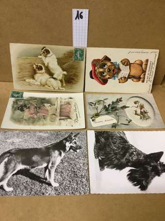 Chiens - 60 CP - illustrés , humanisés ou non