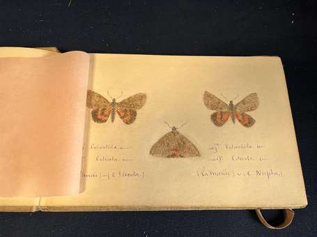 Papillons - Album de 31 pages de croquis anciens ,