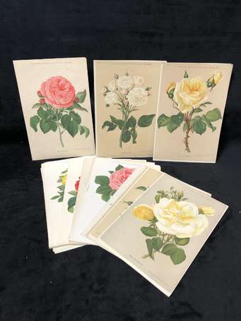 Journal des Roses - bel ensemble de gravures 