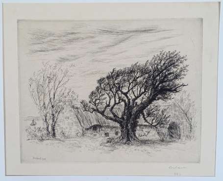 FRELAUT (Jean) - 1879-1954 - Etude d'arbre - 