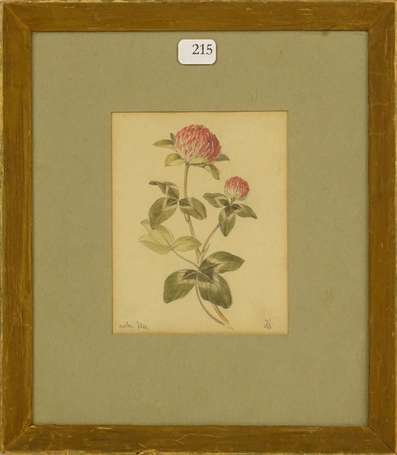 ECOLE XXe - Bouquet de fleurs roses. Aquarelle, 