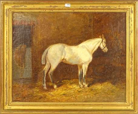 ECOLE XIXe - Cheval blanc à l'écurie. Huile sur 