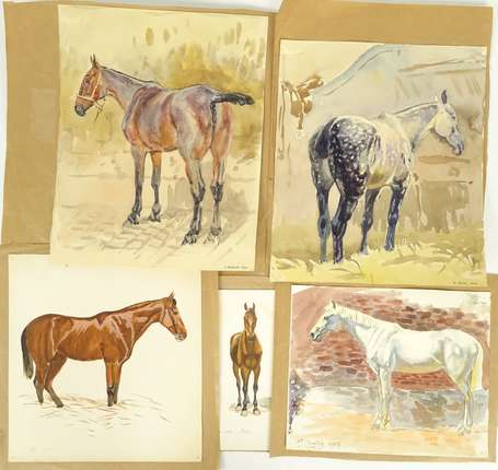 ECOLE XIX-XXe - Portraits de chevaux. Ensemble de 