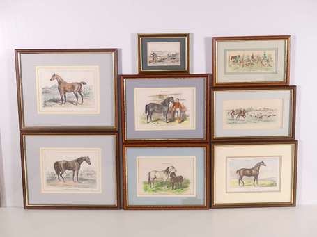 [CHEVAUX ET CYNEGETIQUE] - Lot de 8 lithographies 