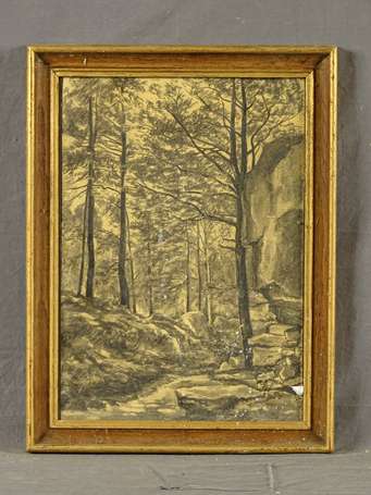 ECOLE XXe - Forêt. Fusain. A vue : 35 x 26 cm.