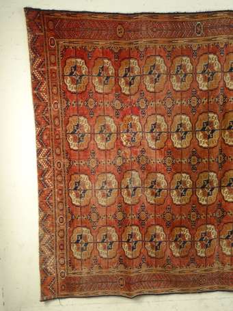 Tapis Boukhara Tekke (chaîne, trame et velours en 