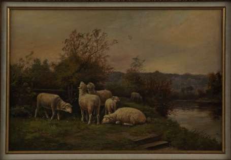 Prevost E, XIXème-Xxème Siècle Troupeau de moutons