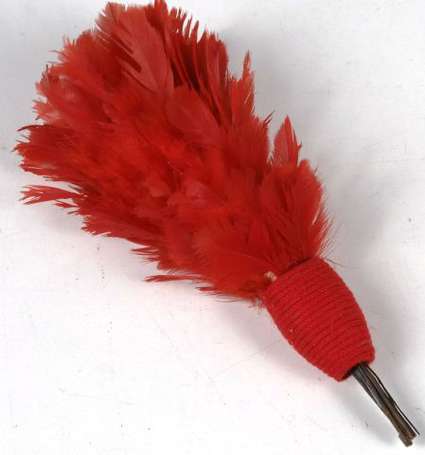 FRIIIe REP - Plumet rouge , montage sur fanon de 
