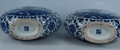 Paire de vase gourde en porcelaine blanc bleu à 
