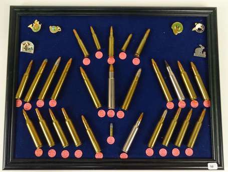 Tableau composé de 27 munitions de chasse toutes 