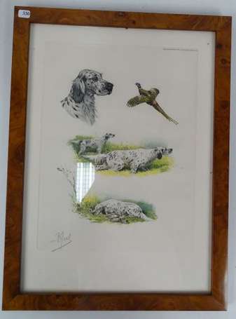 Lithographie encadrée d'une étude de Chiens Setter