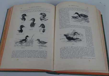 [COLLECTIF] - La chasse moderne. Encyclopédie du 