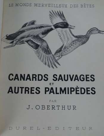 OBERTHUR (J.) - Canards sauvages et autres 