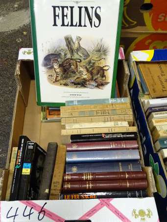 Lot de romans et livres sur les chasses exotiques.