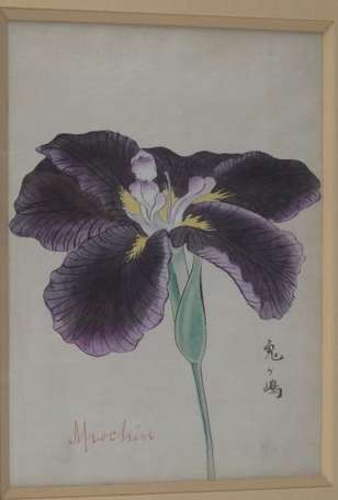 Ching Ho Cheng 1946-1989 Iris Aquarelle et gouache