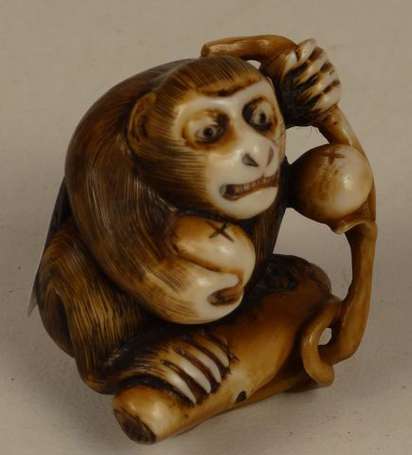 Netsuke Singe aux fruitsen ivoire Japon H 3,5 cm