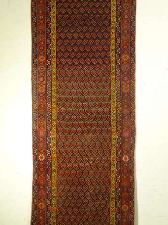 Tapis Kurde (chaîne et trame en coton, velours en 