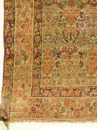 Tapis Kirman (chaîne et trame en coton, velours en