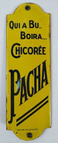 CHICOREE PACHA 