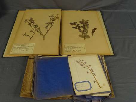 Herbier - Ensemble de 2 Recueils d'Herbiers - un 