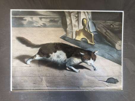 Chat - belle lithographie colorée du 19ème - 