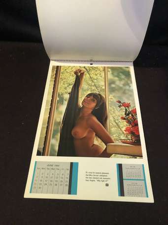 Curiosa - Play Boy - Calendrier publicitaire 