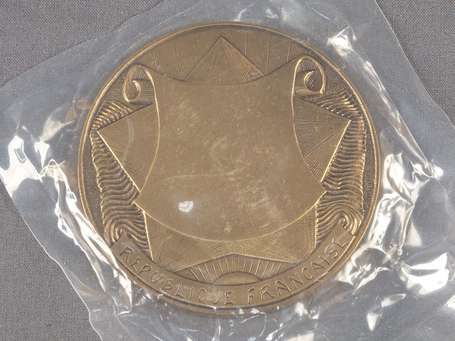 Médaille en bronze de la monnaie de Paris Plus 