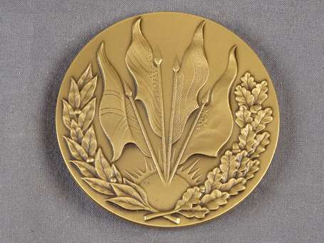 Médaille en bronze de la monnaie de Paris 