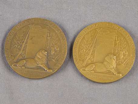 France lot de 2 médailles en bronze  Prix du 