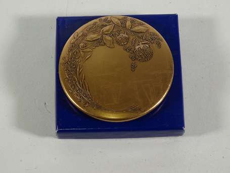 Médaille en bronze de la Monnaie de Paris sur le 
