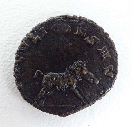 Monnaie romaine - GALLIEN - Antoninien. Avers Tête