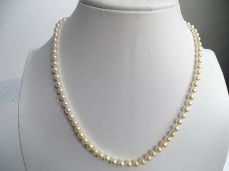 Collier de 77 perles de culture en chute 