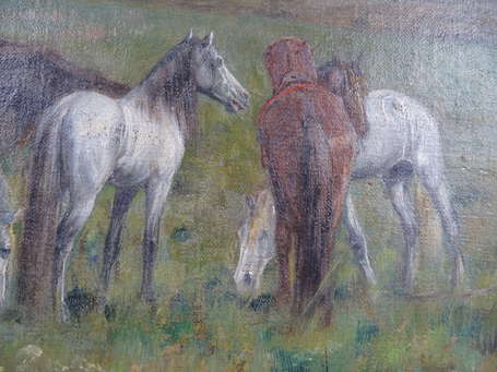 SHONBORN John Lewis (1852-1931) - Chevaux pâturant