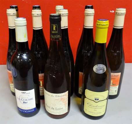 12 Bts vins de Loire comprenant Coteau d'Ancenis 